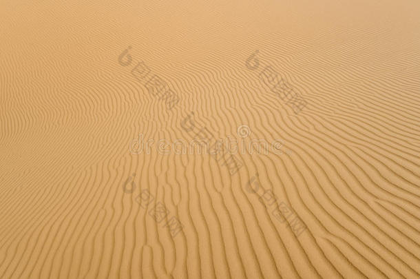 沙质沙漠上的完美形状