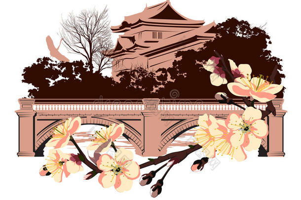 日本房子背景下的樱花