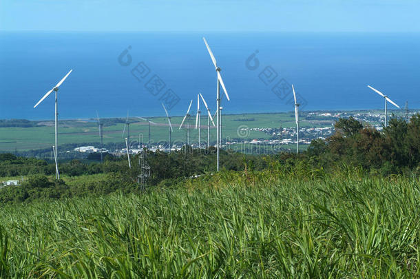 留尼汪岛风电场