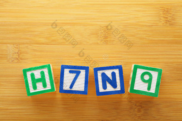 h7n9玩具积木