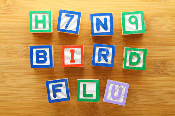 h7n9禽流感玩具块