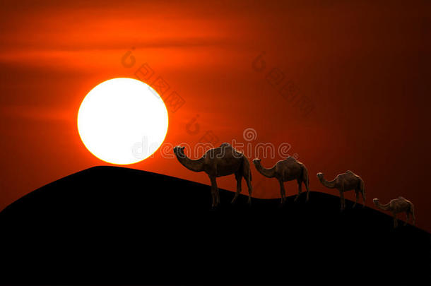 沙漠日落骆驼车队穿过沙丘
