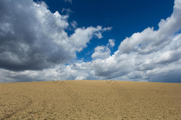 <strong>天马行空</strong>的耕地