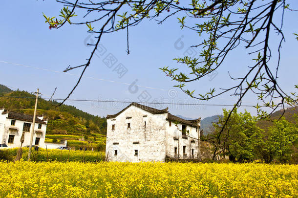 江西省婺源市的农村房屋。