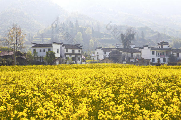 江西婺源乡村景观。