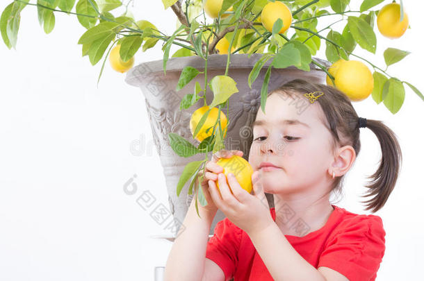 柠檬树小女孩