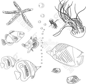 收集红海鱼类。水母，海星。彩色画册图片