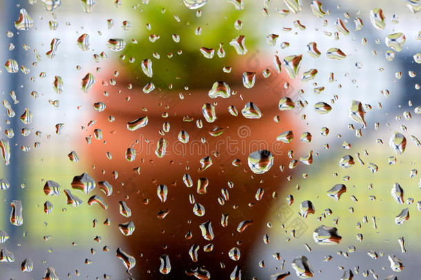 雨点落在背景花盆的窗玻璃上