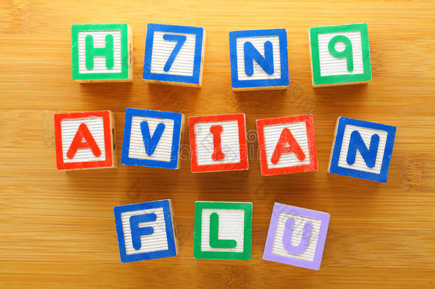 h7n9禽流感玩具块
