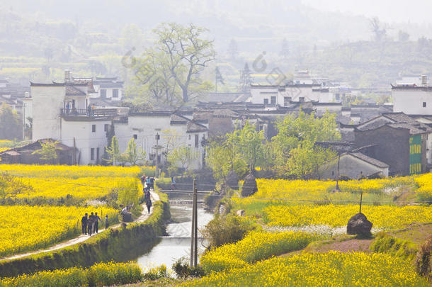 中国婺源的乡村风景，有许多花。