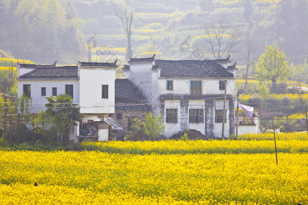 春季<strong>中国</strong>婺源<strong>山水</strong>