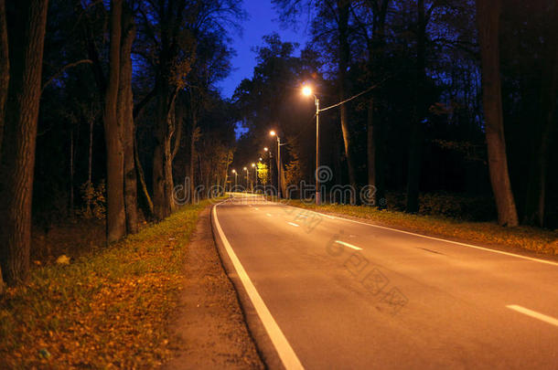 夜晚树林里空旷的公路。