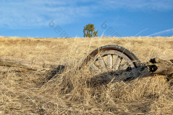 农耕地里的旧木轮
