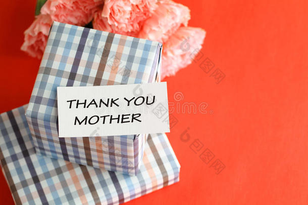 母亲节礼物和粉色康乃馨花
