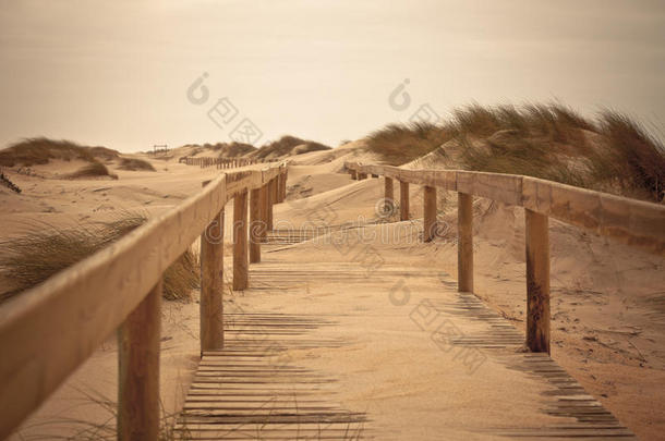 海边沙丘上的木制小径