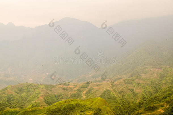 越南北部的稻田梯田