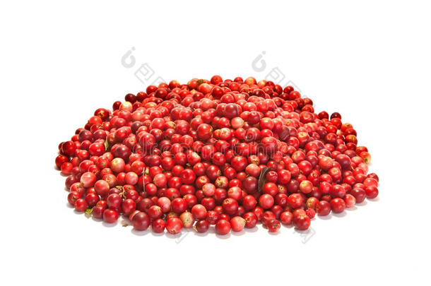 白色背景下的一堆红莓
