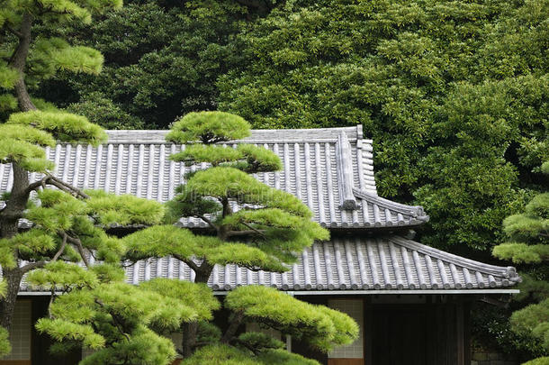 日本东<strong>京东京东</strong>京皇宫御门屋顶（东门）透过树木