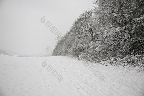 英国雪原和森林