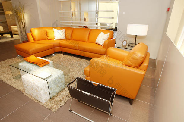 橙色真皮沙发和扶手椅家具