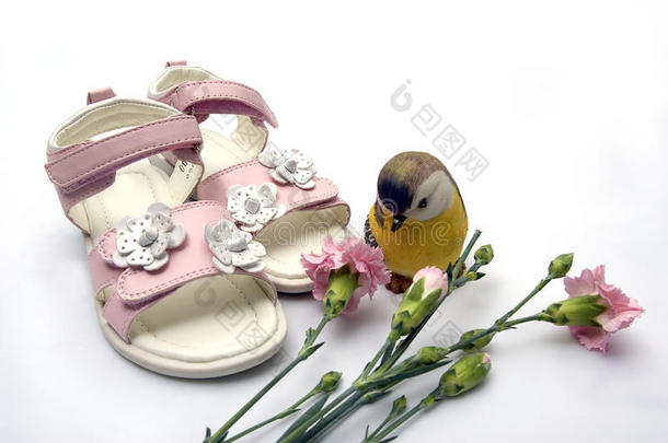 一双粉色的康乃馨皮女凉鞋流落陶瓷装饰鸟