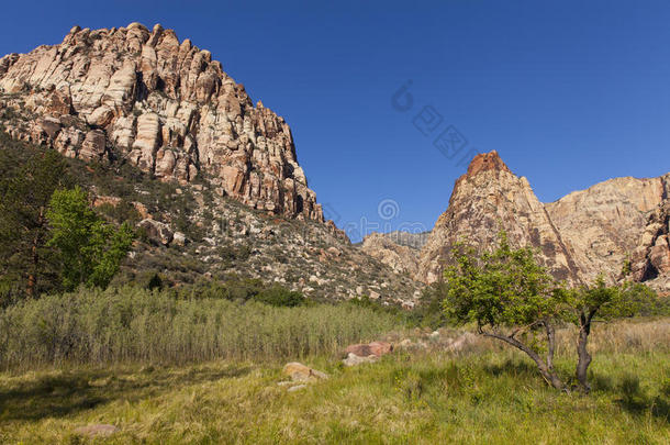 春天，五彩缤纷的群山和一片草地。