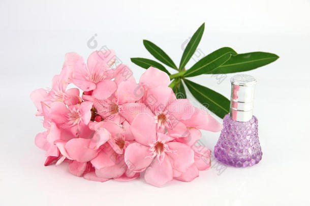 一束淡粉色的花和紫色的香水瓶。