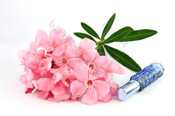 一束淡粉色的花和蓝色的香水瓶。