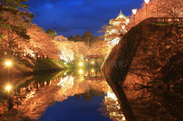广崎城堡和樱花的灯光