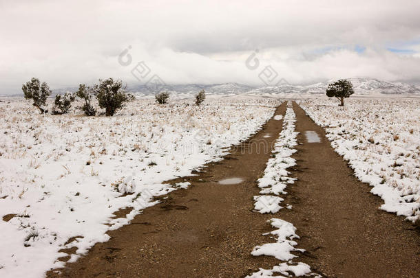 内华达州东北部的<strong>雪路</strong>