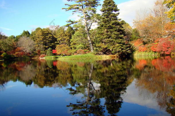 缅因州阿斯蒂库阿扎利亚花园的湖泊和树木