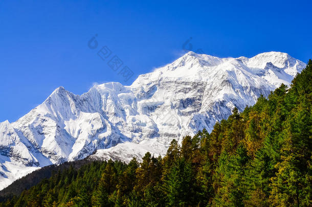 <strong>喜马拉雅</strong>山脉安纳普纳二期山峰景观，前景为树木