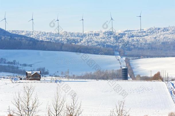 农业加拿<strong>大寒</strong>冷的与电有关的能量