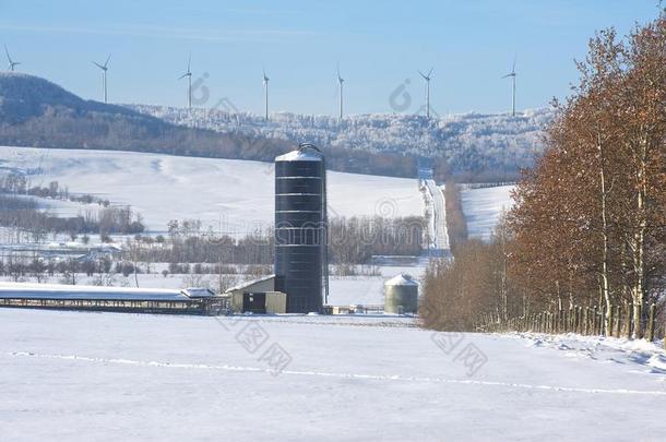 农业加拿大寒冷的与电有关的能量