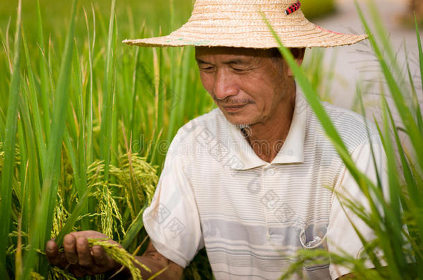 中国农民