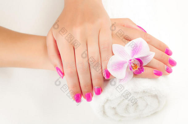 粉色兰花和毛巾的美丽美甲
