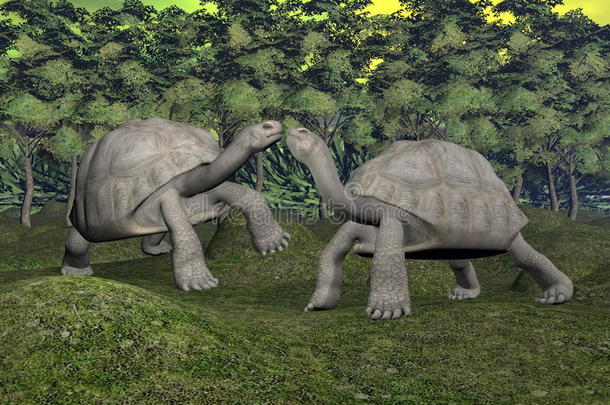 加拉帕戈斯乌龟之吻-3d渲染