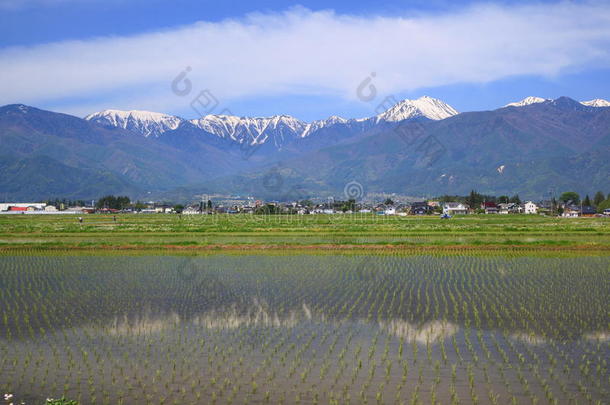 日本阿尔卑斯山和稻田