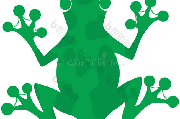 绿斑蛙
