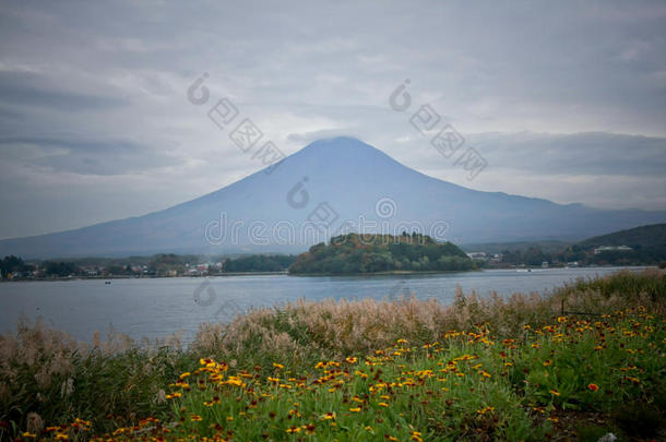 川口湖富士山