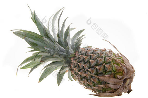 菠萝，菠萝背景热带水果