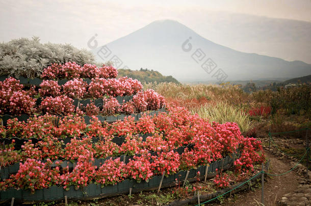 花饰与富士山