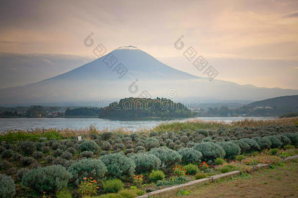 川口湖富士山