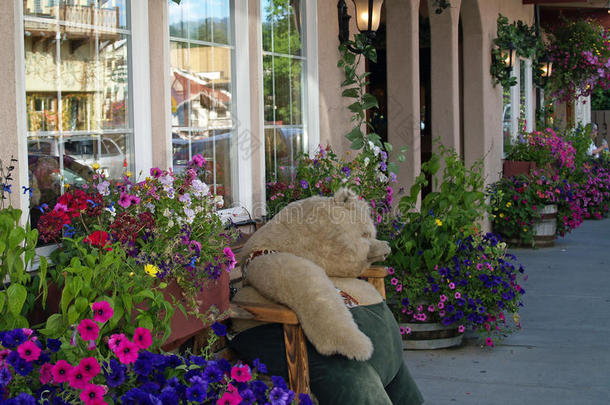 花丛街道长凳上的毛绒熊