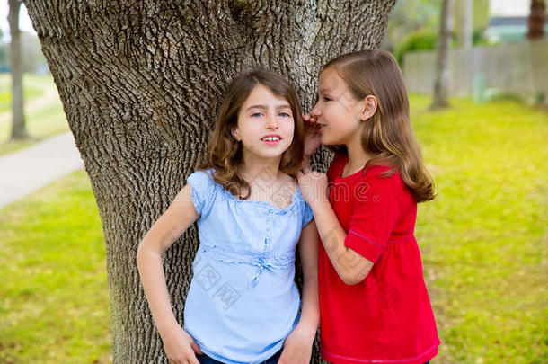 在公园树上玩耍的女孩们低声耳语
