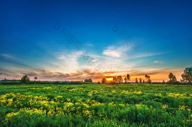 夏日田野的夕阳