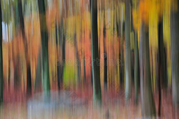 完全秋天颜色的森林的抽象图像