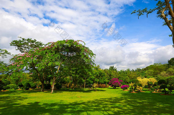 <strong>繁花似锦</strong>