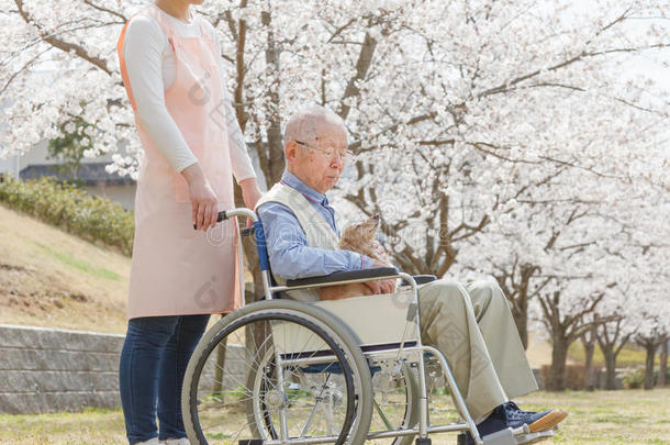 坐在轮椅上的亚洲老人，带着<strong>看护</strong>者和狗