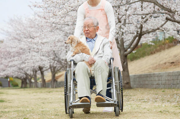 坐在轮椅上的亚洲老人，带着看护者和狗